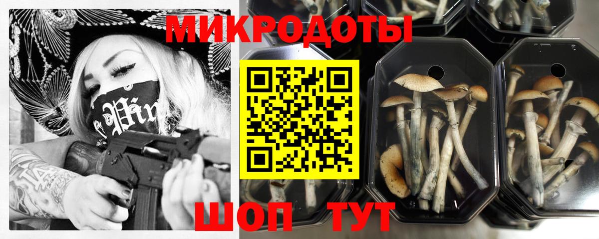 Галлюциногенные грибы MAGIC MUSHROOMS Озёры